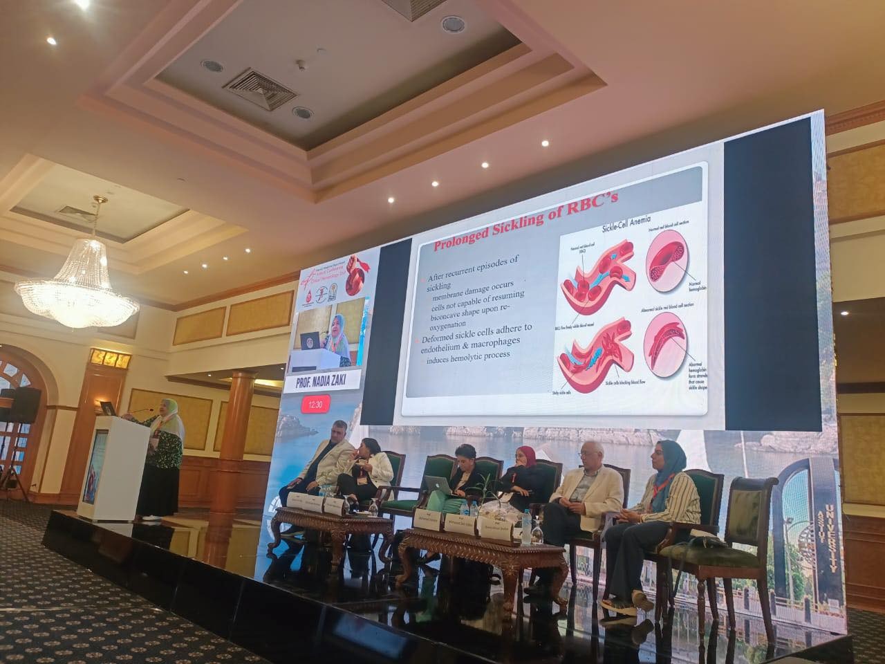 تنظم تدريبًا لأطباء الوحدات الصحية بـ 4 محافظات للتوعية بأمراض أنيميا البحر المتوسط والأنيميا المنجلية